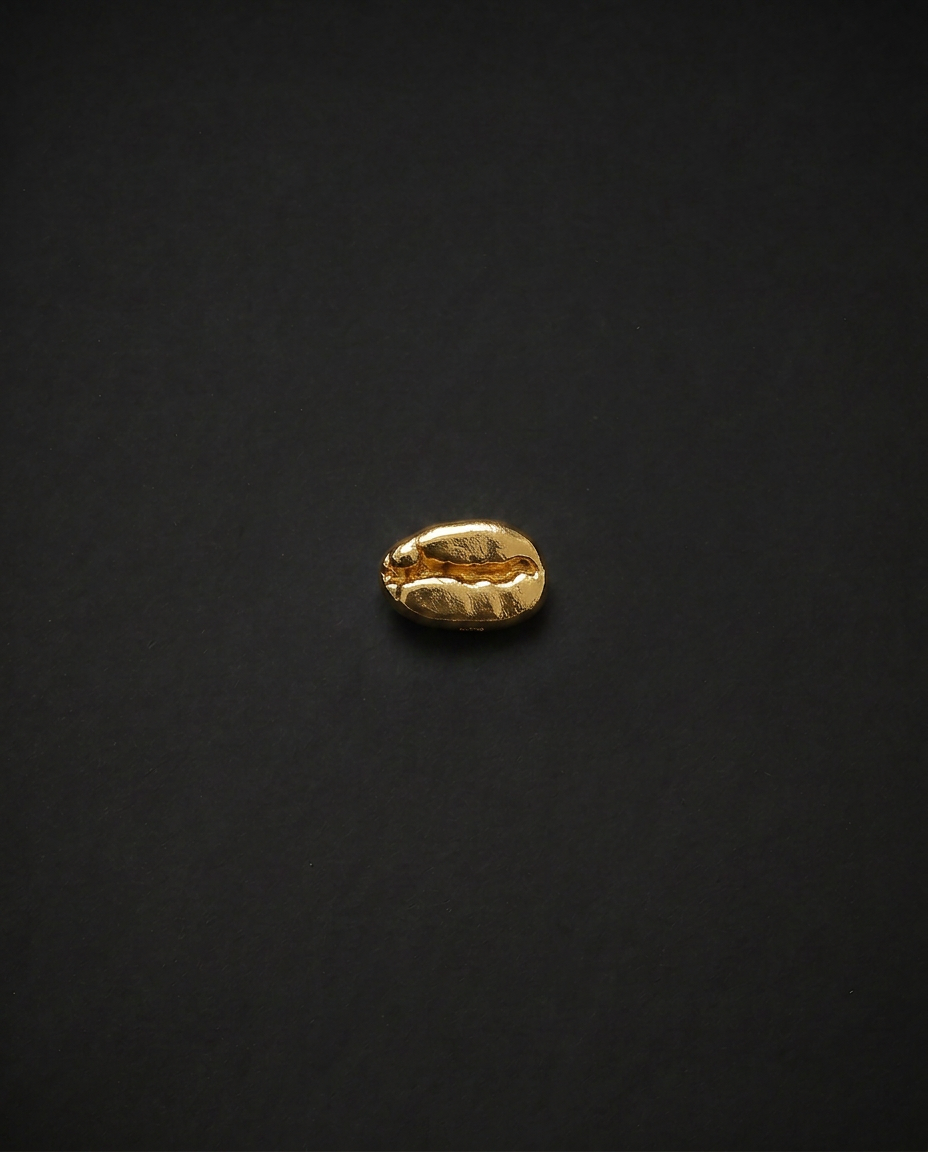 Brooch - Stainless Steel