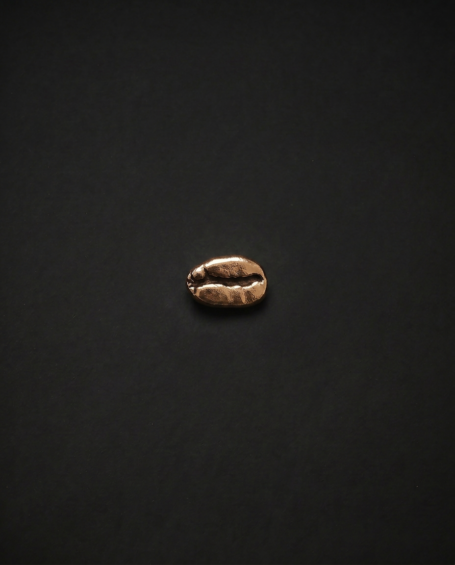 Brooch - Stainless Steel
