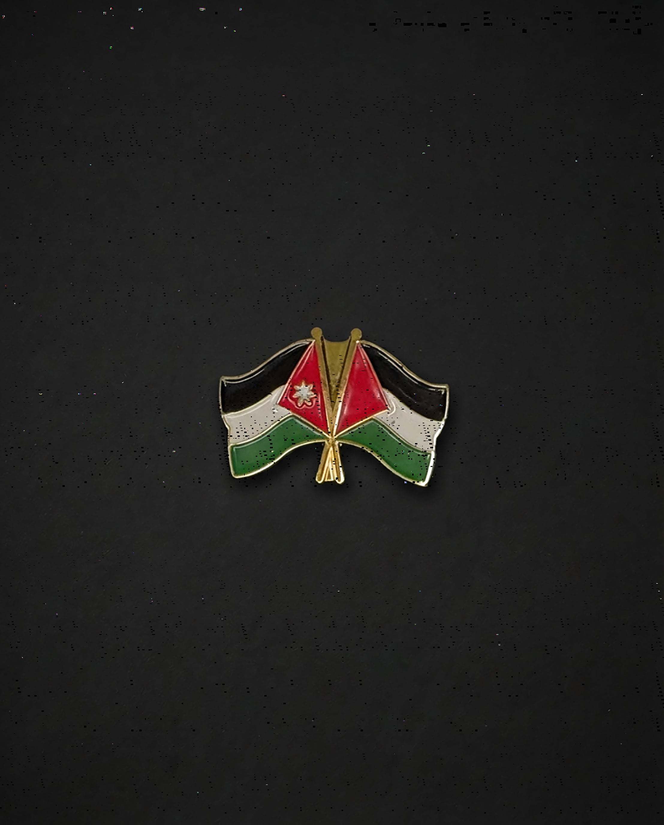 Brooch - Stainless Steel