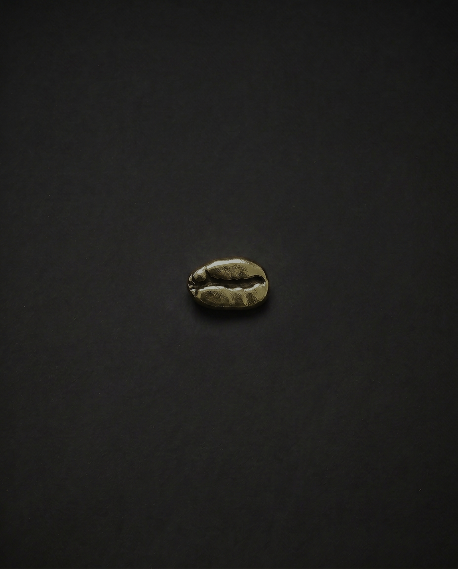 Brooch - Stainless Steel
