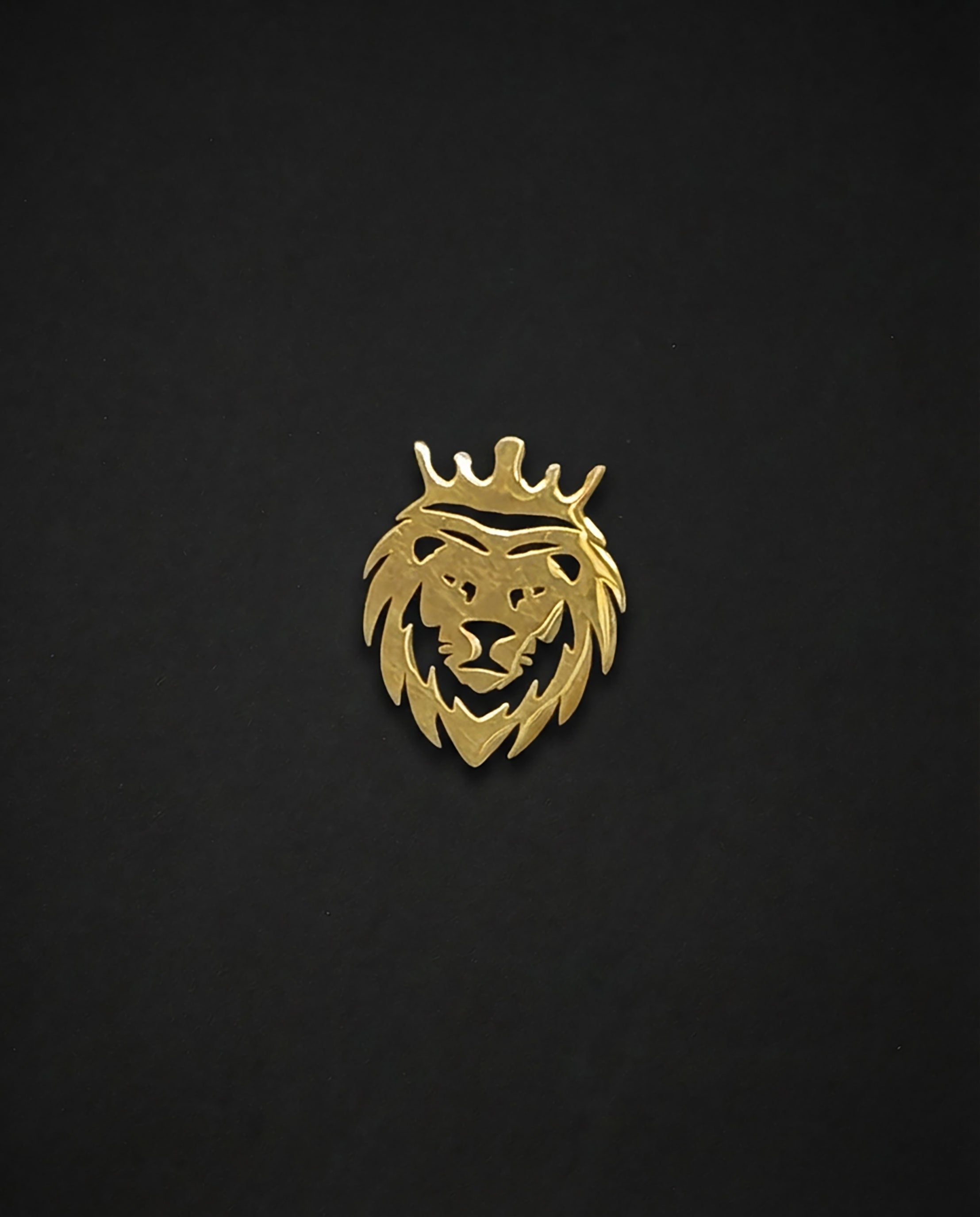 Brooch - Stainless Steel