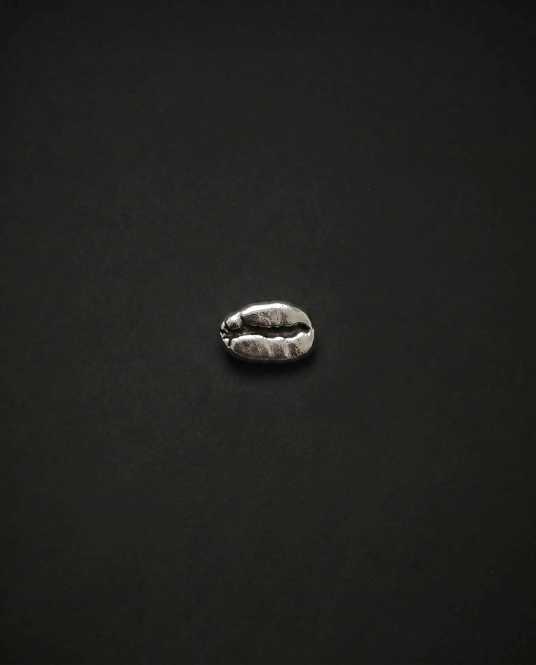 Brooch - Stainless Steel