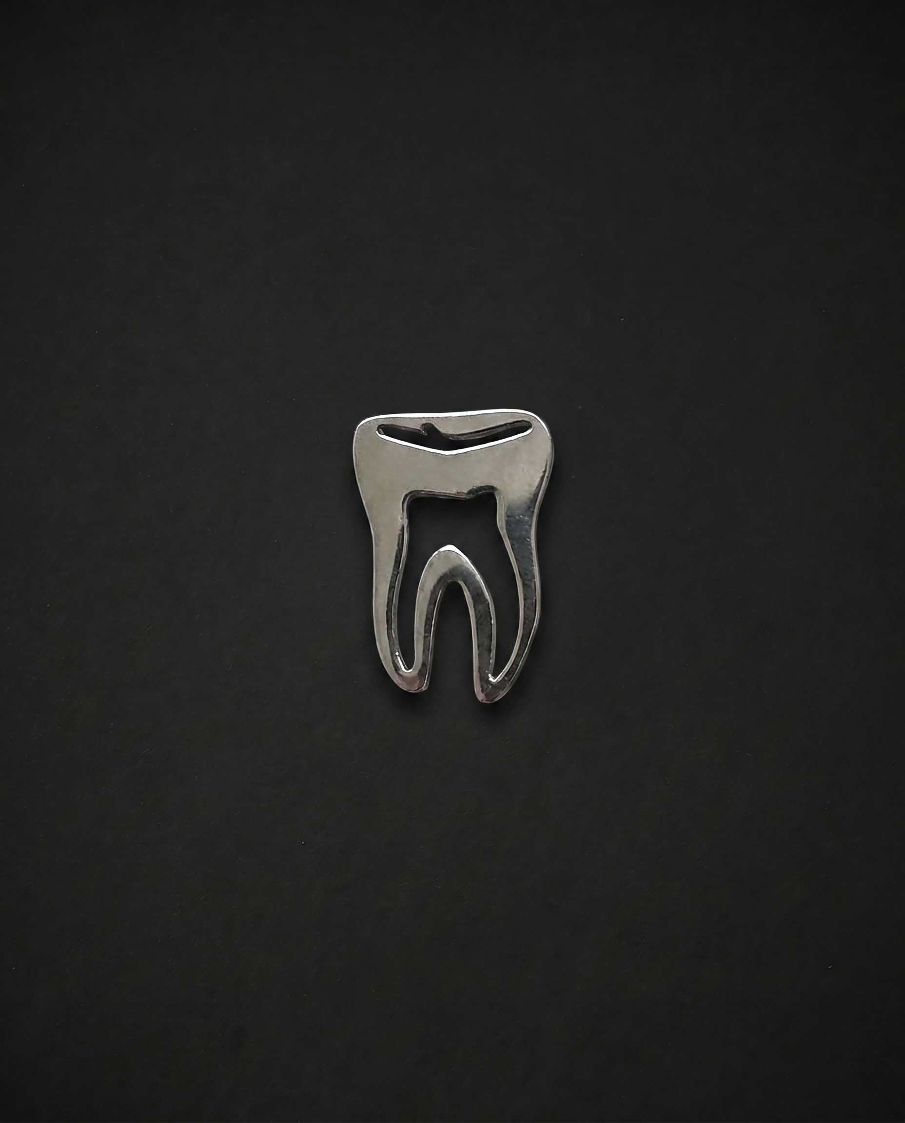 Brooch - Stainless Steel